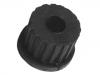 Stabilizer Bushing:55045-G2500