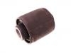 Suspension Bushing:55217-A6000