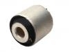 Suspension Bushing:54552-3N000