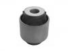 Suspension Bushing:55118-2W100