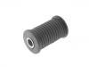 Suspension Bushing:5504600QAB